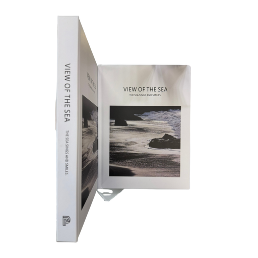 [6447] Livro Decorativo 295mm*220mm*26mm