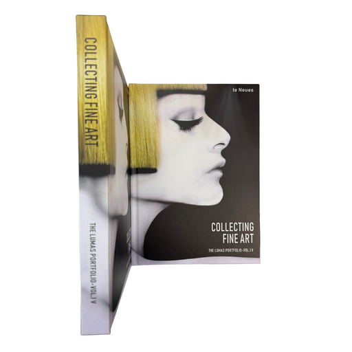 [64412] Livro Decorativo 270mm*190mm*25mm